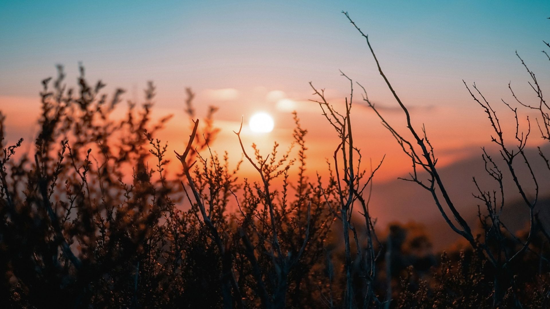 Preoccupation: A Prayer For the New Year