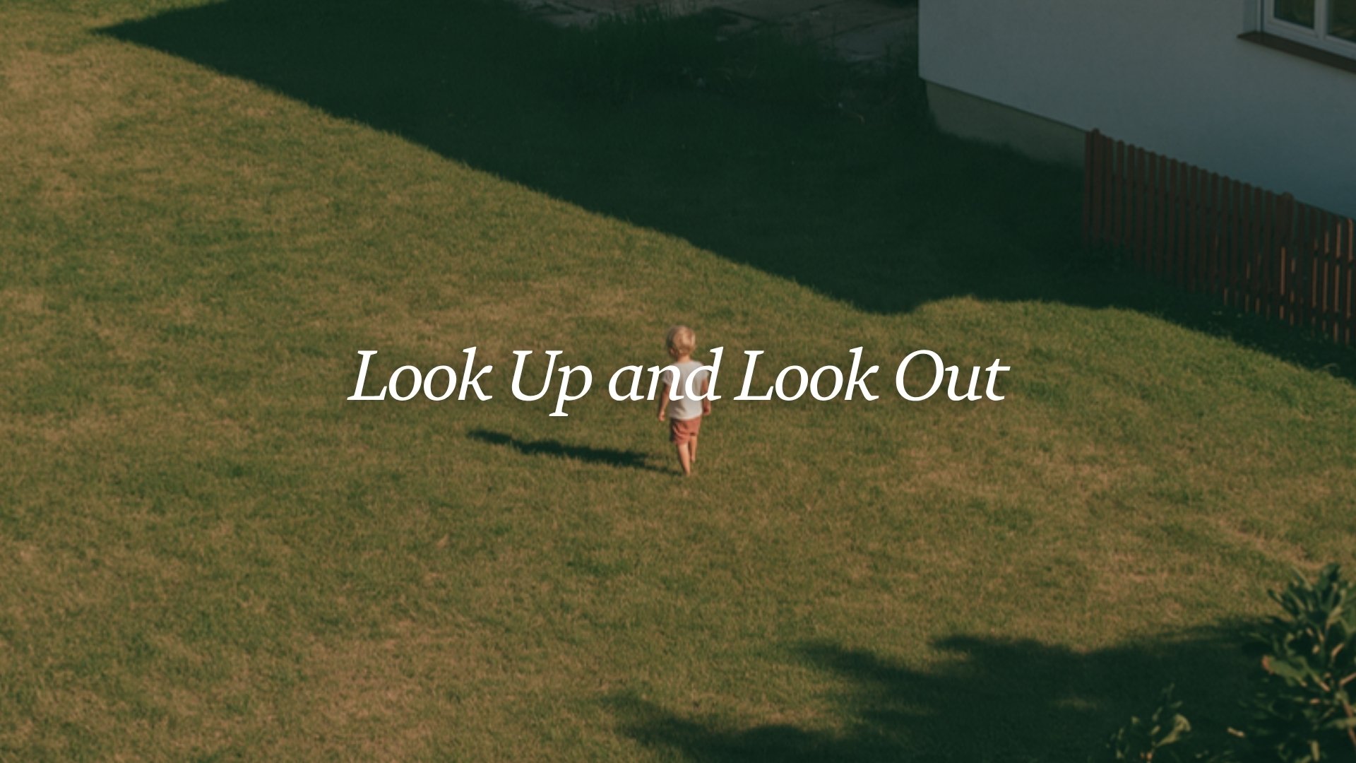 Look Up and Look Out